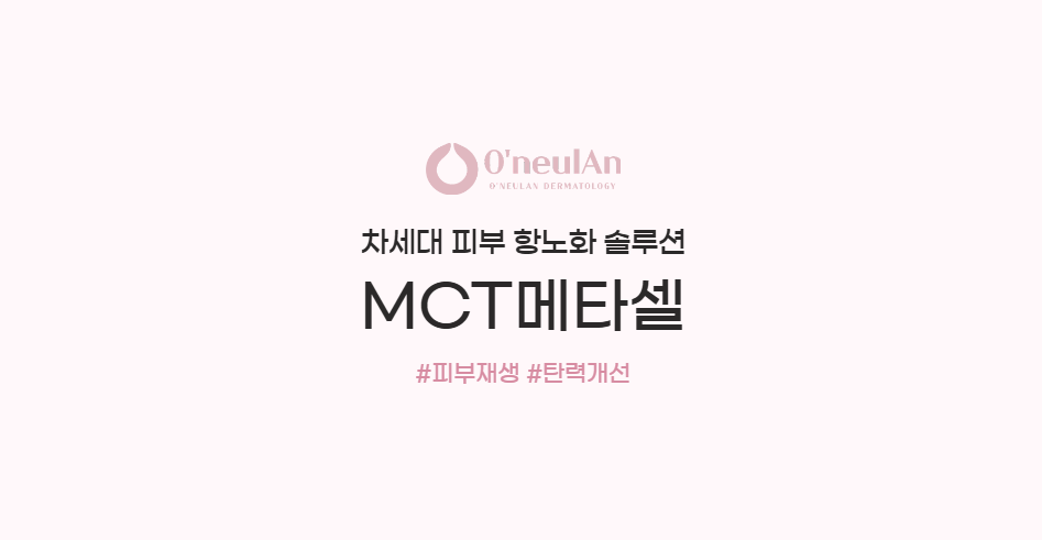 MCT 메타셀 텍스트